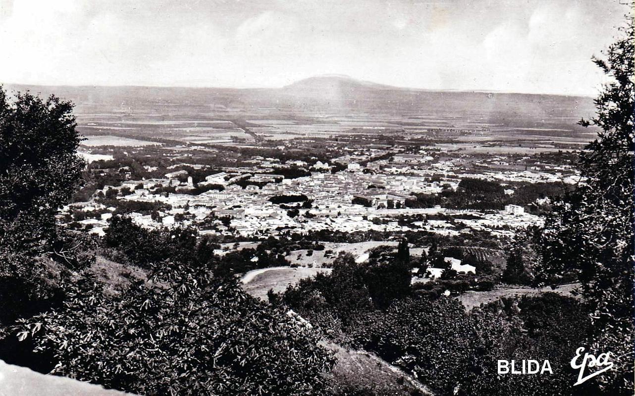 Blida - Ville des roses.jpg